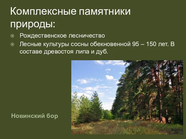 Комплексные памятники природы: Новинский бор Рождественское лесничество Лесные культуры сосны