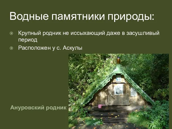 Водные памятники природы: Ануровский родник Крупный родник не иссыхающий даже