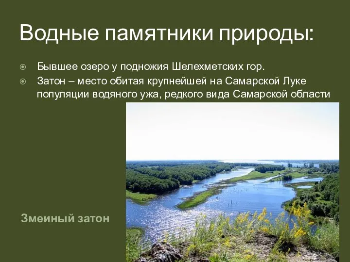 Водные памятники природы: Змеиный затон Бывшее озеро у подножия Шелехметских