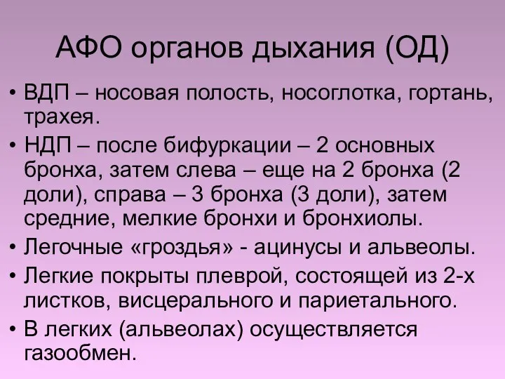 АФО органов дыхания (ОД) ВДП – носовая полость, носоглотка, гортань,