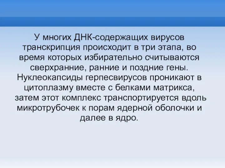 У многих ДНК-содержащих вирусов транскрипция происходит в три этапа, во