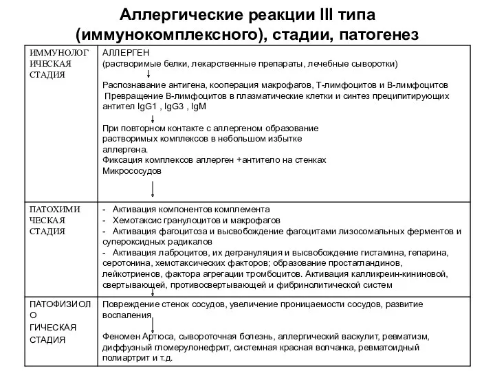 Аллергические реакции III типа (иммунокомплексного), стадии, патогенез