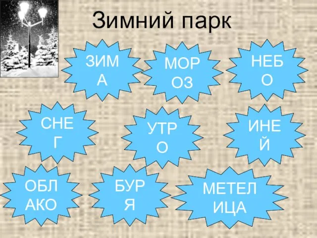 ЗИМА Зимний парк СНЕГ ИНЕЙ НЕБО МЕТЕЛИЦА БУРЯ ОБЛАКО УТРО МОРОЗ