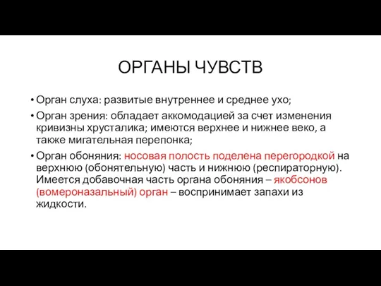 ОРГАНЫ ЧУВСТВ Орган слуха: развитые внутреннее и среднее ухо; Орган