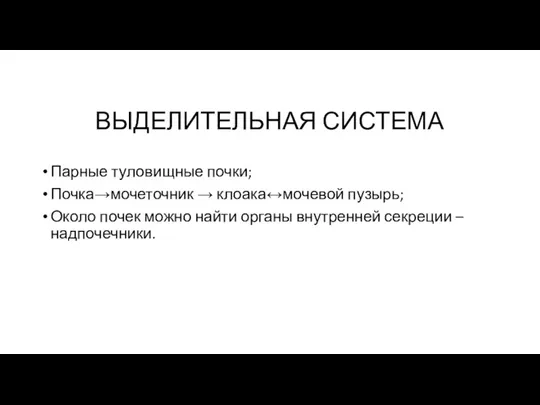 ВЫДЕЛИТЕЛЬНАЯ СИСТЕМА Парные туловищные почки; Почка→мочеточник → клоака↔мочевой пузырь; Около