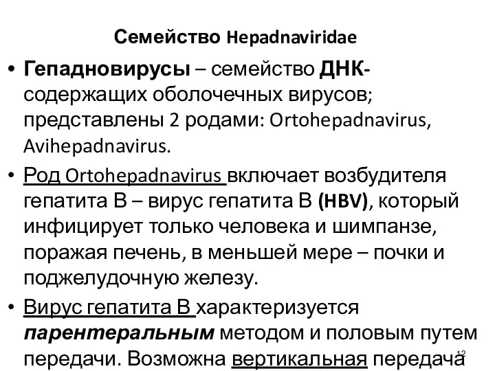 Семейство Hepadnaviridae Гепадновирусы – семейство ДНК-содержащих оболочечных вирусов; представлены 2