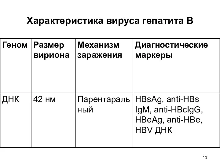 Характеристика вируса гепатита В