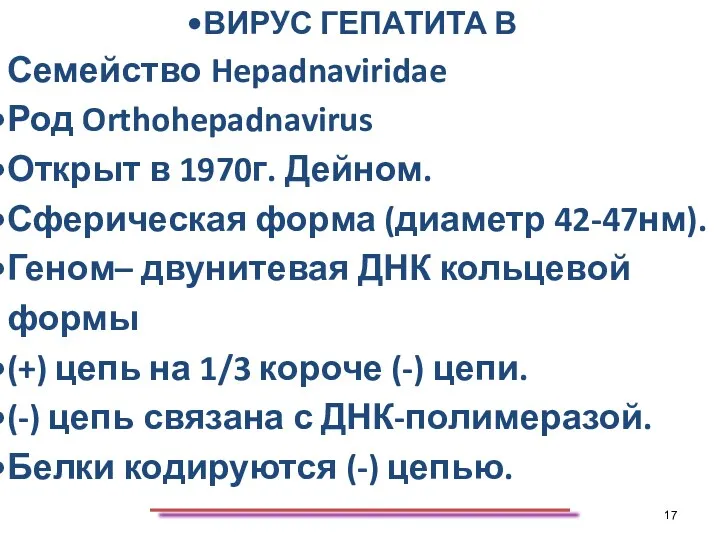 ВИРУС ГЕПАТИТА В Семейство Hepadnaviridae Род Orthohepadnavirus Открыт в 1970г.