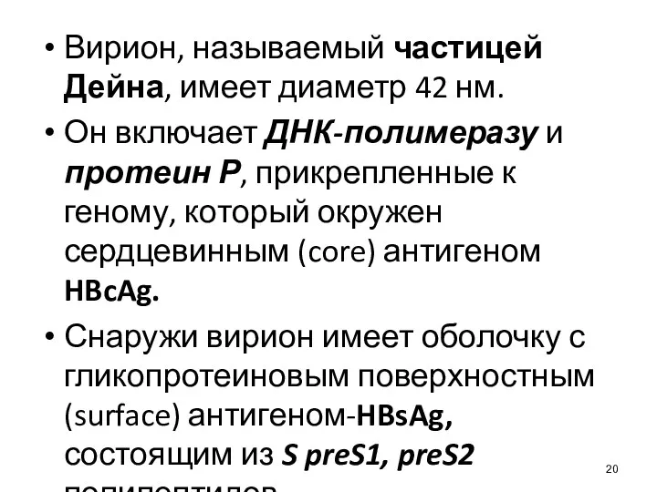 Вирион, называемый частицей Дейна, имеет диаметр 42 нм. Он включает