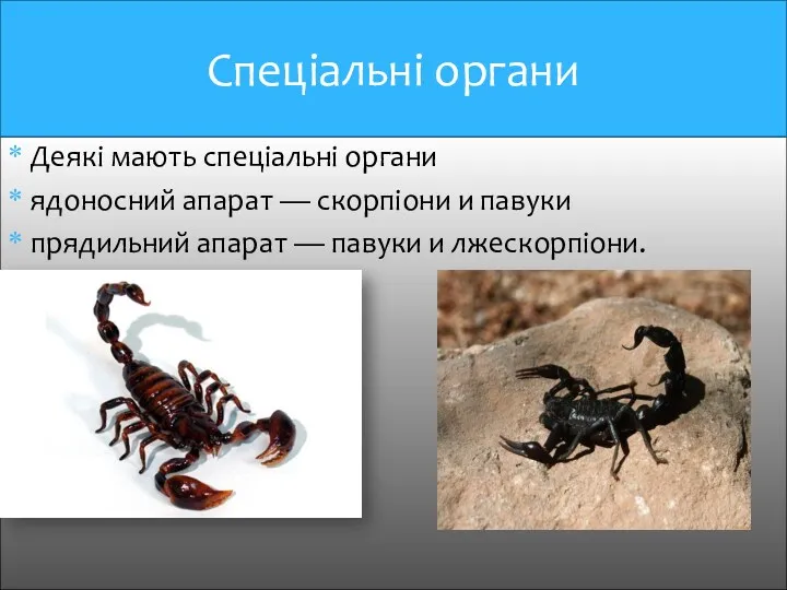 Деякі мають спеціальні органи ядоносний апарат — скорпіони и павуки