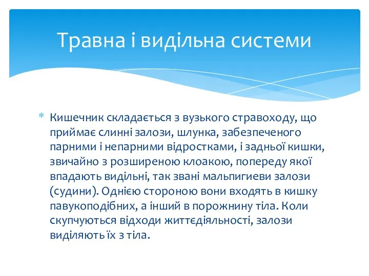 Травна і видільна системи Кишечник складається з вузького стравоходу, що приймає слинні залози,