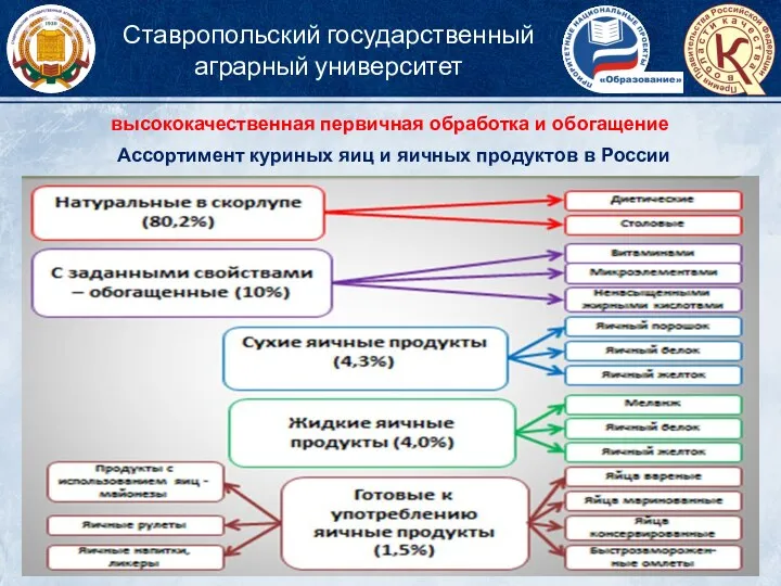 высококачественная первичная обработка и обогащение Ассортимент куриных яиц и яичных продуктов в России