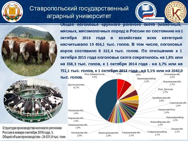 Общее поголовье крупного рогатого скота (молочных, мясных, мясомолочных пород) в