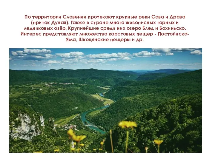 По территории Словении протекают крупные реки Сава и Драва (приток