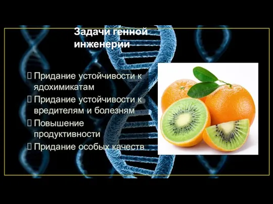 Задачи генной инженерии Придание устойчивости к ядохимикатам Придание устойчивости к