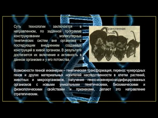 Суть технологии заключается в направленном, по заданной программе конструировании молекулярных