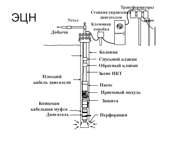 ЭЦН Трансформаторы