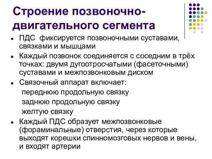 Строение позвоночно-двигательного сегмента ПДС фиксируется позвоночными суставами, связками и мышцами