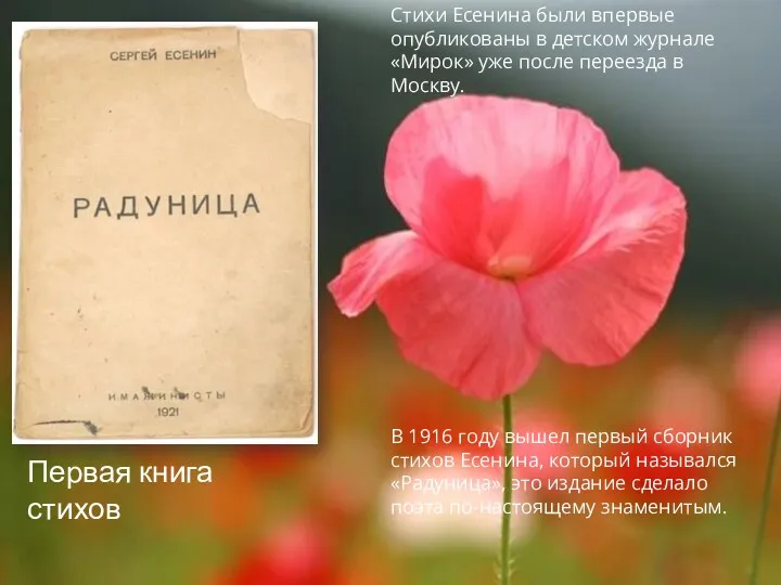 Первая книга стихов Стихи Есенина были впервые опубликованы в детском