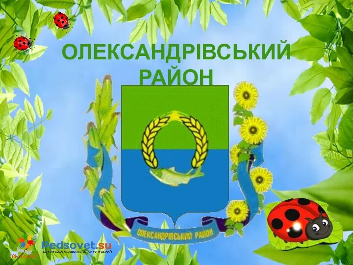 ОЛЕКСАНДРІВСЬКИЙ РАЙОН