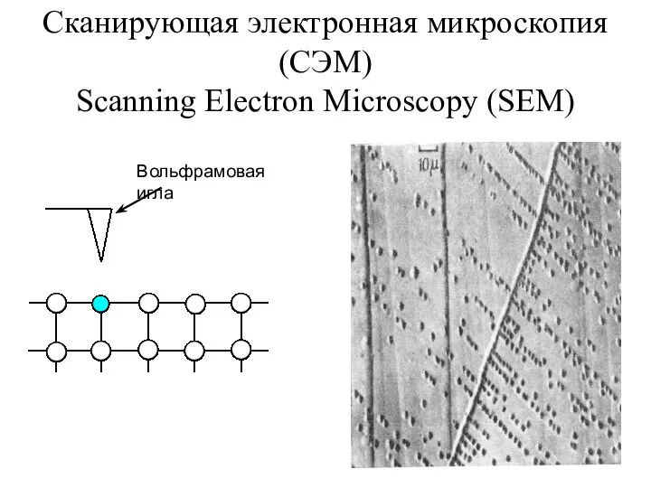 Сканирующая электронная микроскопия (СЭМ) Scanning Electron Microscopy (SEM) Вольфрамовая игла