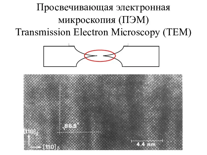 Просвечивающая электронная микроскопия (ПЭМ) Transmission Electron Microscopy (TEM)