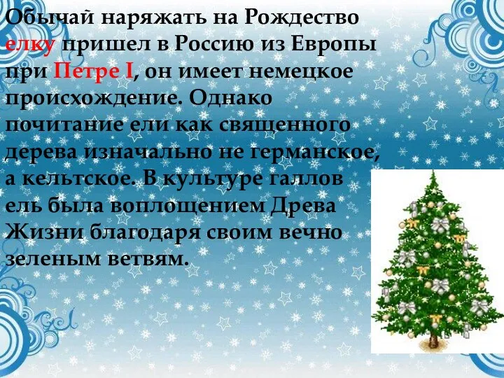 Обычай наряжать на Рождество елку пришел в Россию из Европы при Петре I,
