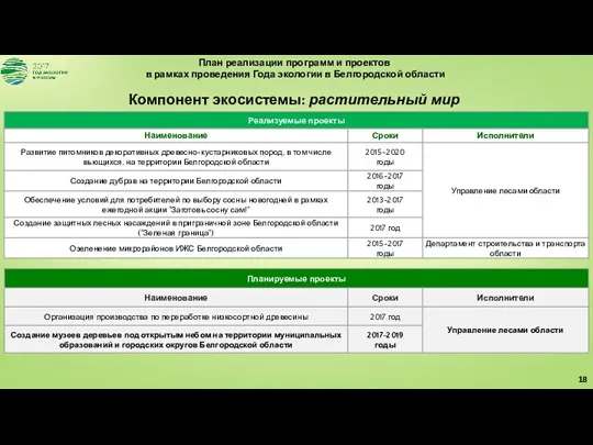 План реализации программ и проектов в рамках проведения Года экологии в Белгородской области