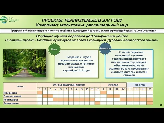 ПРОЕКТЫ, РЕАЛИЗУЕМЫЕ В 2017 ГОДУ Компонент экосистемы: растительный мир Программа «Развитие водного и