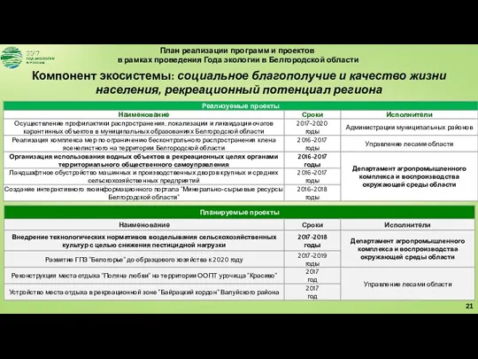 План реализации программ и проектов в рамках проведения Года экологии в Белгородской области