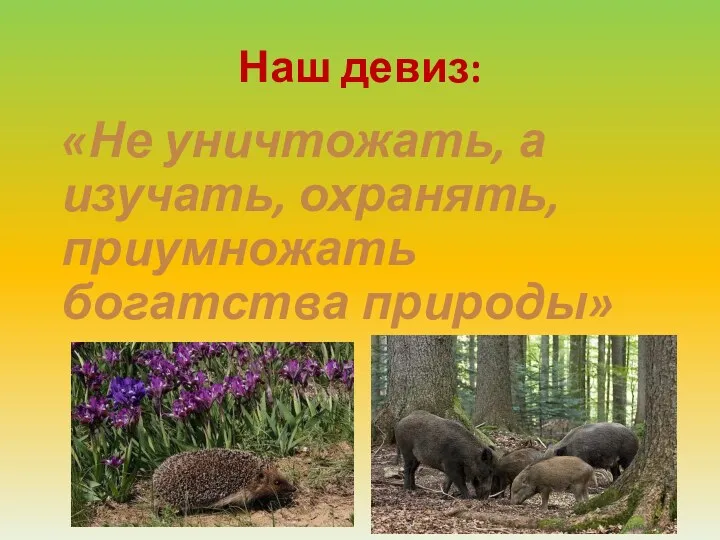 Наш девиз: «Не уничтожать, а изучать, охранять, приумножать богатства природы»