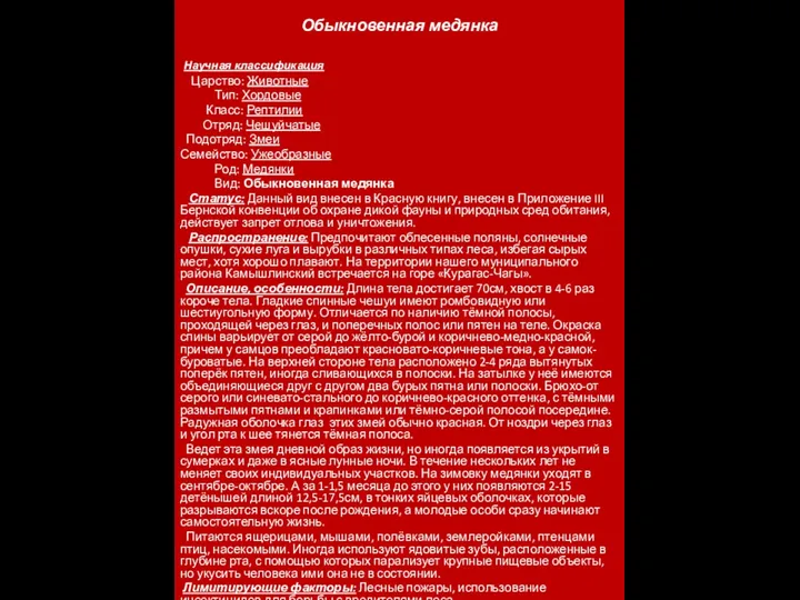 Обыкновенная медянка Научная классификация Царство: Животные Тип: Хордовые Класс: Рептилии