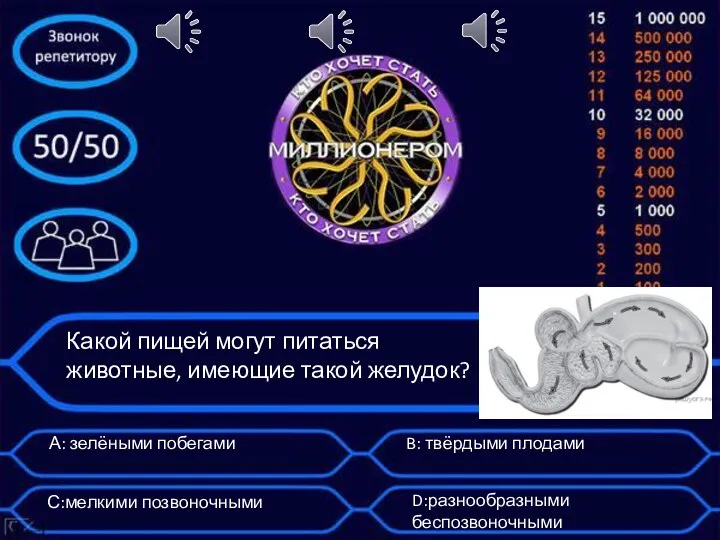 Какой пищей могут питаться животные, имеющие такой желудок? А: зелёными побегами B: твёрдыми