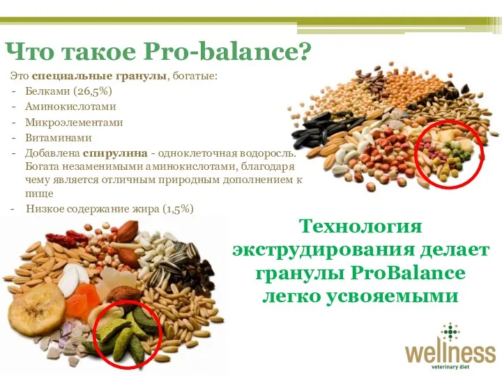 Что такое Pro-balance? Это специальные гранулы, богатые: Белками (26,5%) Аминокислотами