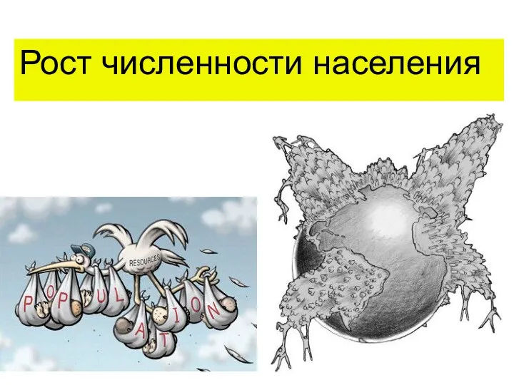 Рост численности населения