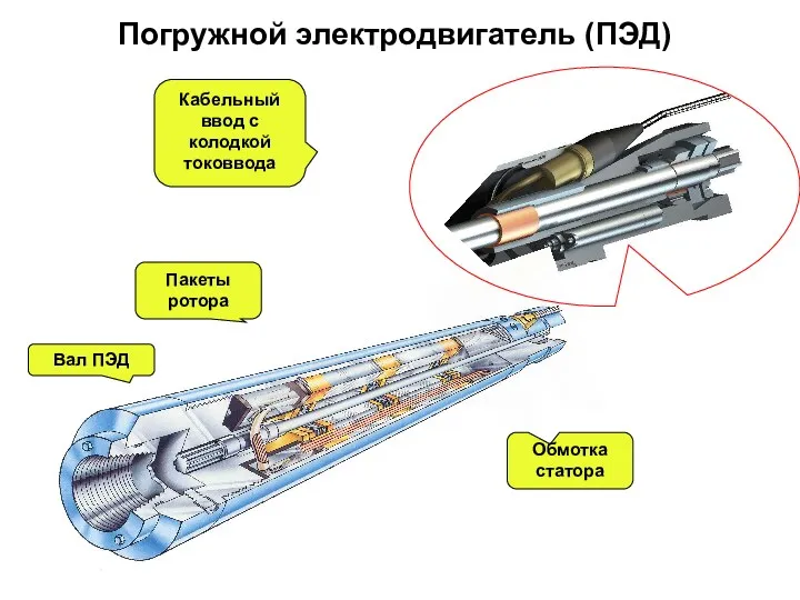 Погружной электродвигатель (ПЭД) Вал ПЭД Пакеты ротора Обмотка статора Кабельный ввод с колодкой токоввода