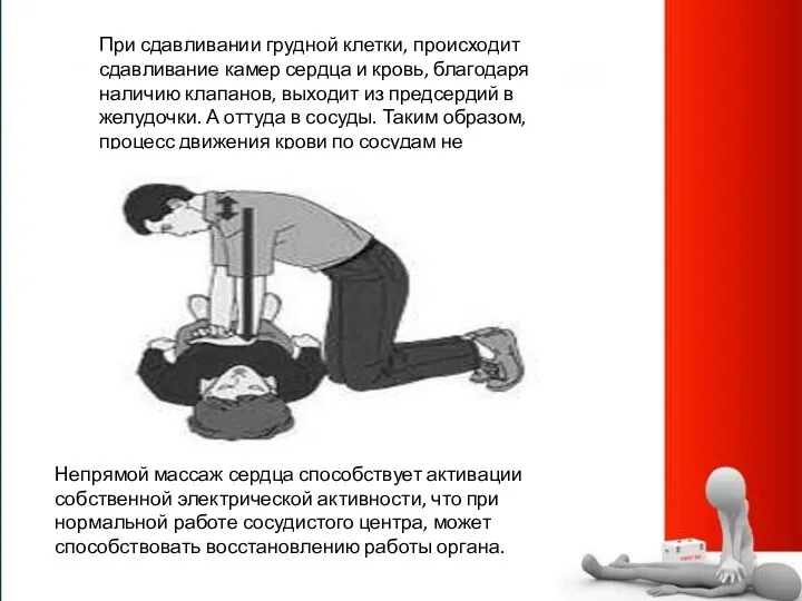 При сдавливании грудной клетки, происходит сдавливание камер сердца и кровь,