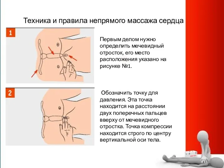 Техника и правила непрямого массажа сердца Первым делом нужно определить