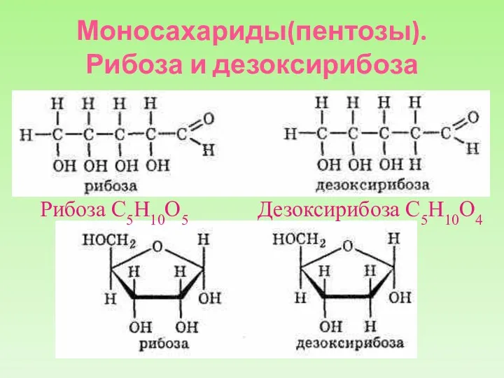 Моносахариды(пентозы). Рибоза и дезоксирибоза Рибоза С5Н10О5 Дезоксирибоза С5Н10О4