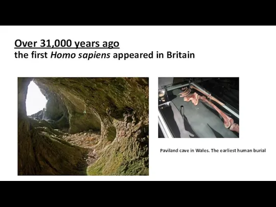 Over 31,000 years ago the first Homo sapiens appeared in Britain Paviland cave