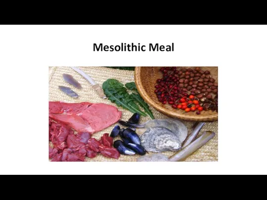 Mesolithic Meal