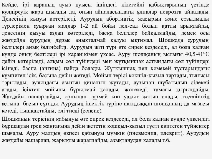 Кейде, iрi қараның ауыз қуысы iшiндегi кiлегейлi қабықтарының үстiнде күлдiреуiк