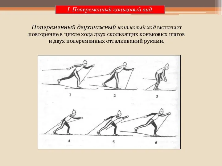 I. Попеременный коньковый вид. Попеременный двухшажный коньковый ход включает повторение в цикле хода