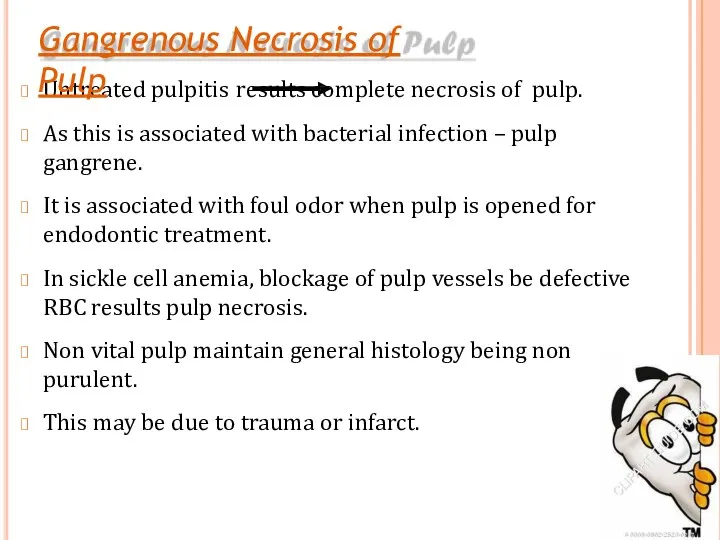 Untreated pulpitis results complete necrosis of pulp. As this is associated with bacterial