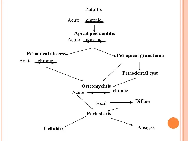 Pulpitis Acute chronic Apical peiodontitis Acute chronic Periapical abscess Acute chronic Periapical granuloma