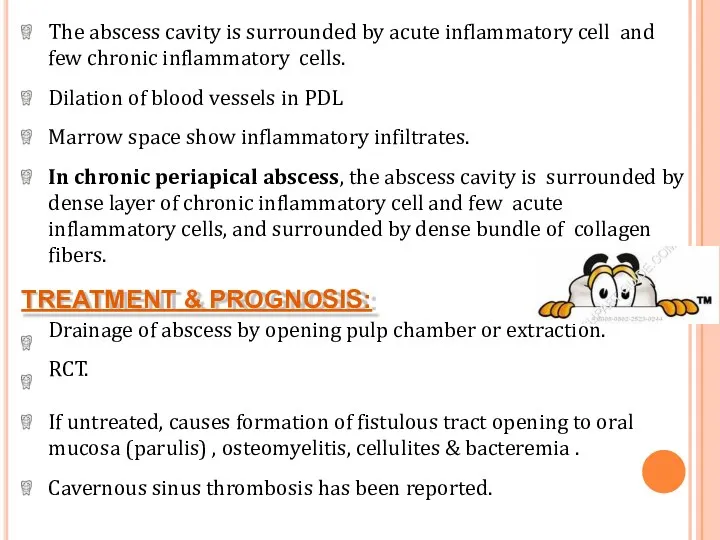 The abscess cavity is surrounded by acute inflammatory cell and few chronic inflammatory