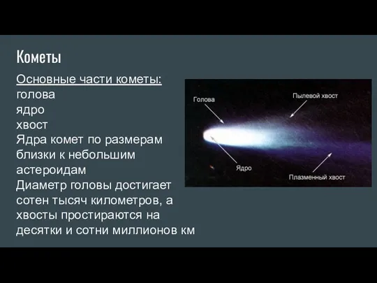 Кометы Основные части кометы: голова ядро хвост Ядра комет по