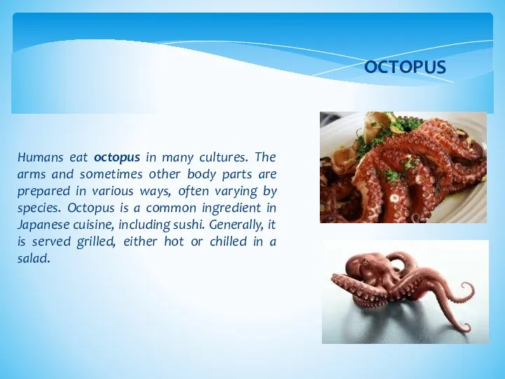 Humans eat octopus in many cultures. The arms and sometimes