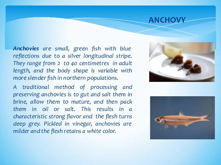 Anchovies are small, green fish with blue reflections due to