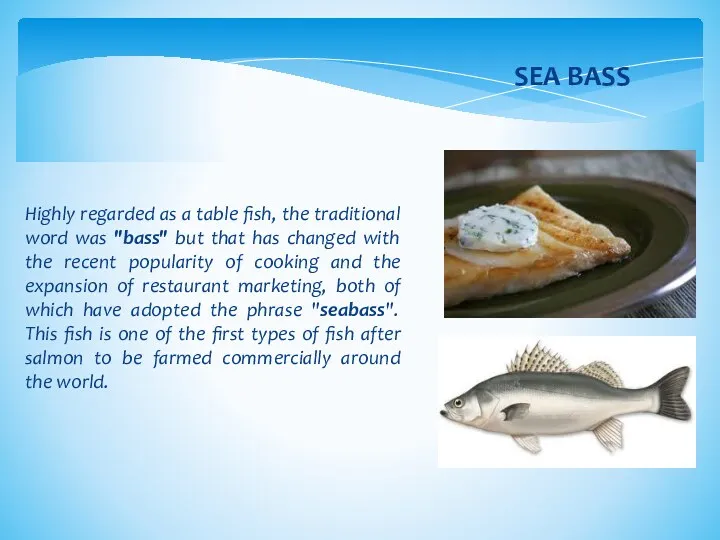 Highly regarded as a table fish, the traditional word was
